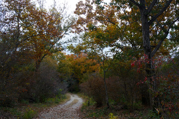 兵庫県・三木市県立公園の秋、紅葉