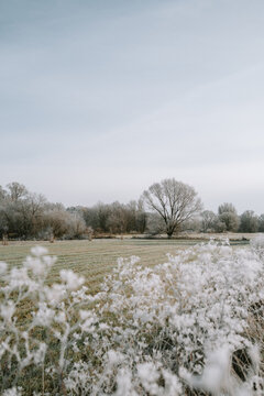 leicht gefrorene Winterlandschaft