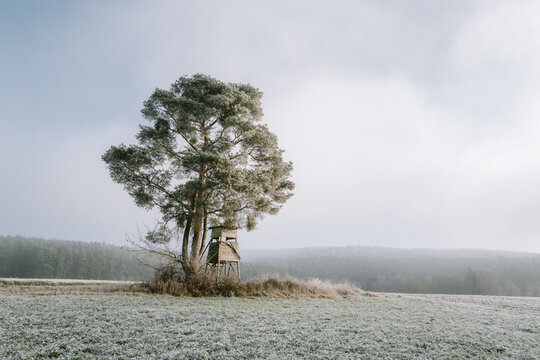 Einzelner Baum auf einem Feld an einem Kalten Wintermorgen mit Reif und Schnee im Sonnenschein