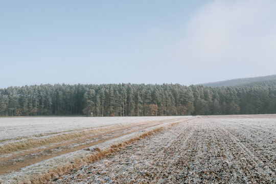Waldrand an einem kalten Wintermorgen bei Sonnenschein
