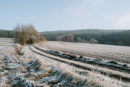 Feldweg an einem sonnigen kalten Wintermorgen