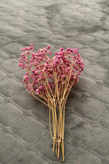 Bouquet of dried pink gypsophila