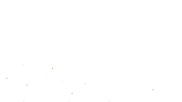 Animation of Birthday party and anniversary celebration overlay motion design element. colorful fairy unicorn confetti rain isolated on white background. Confetti: Colorful Celebration Falling