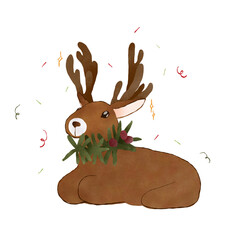 Reindeer 