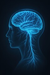View of Human Head Cross-Section with Glowing Blue Neural Network for Conceptual Medical and Neuroscience Illustration