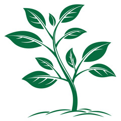 A stylized green plant with multiple leaves and a strong stem emerging from the ground symbolizing growth and nature