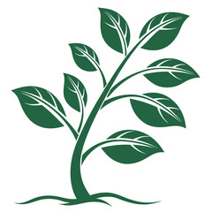 A stylized minimalist green plant with multiple leaves and visible roots representing growth nature and organic concepts on a clean white background
