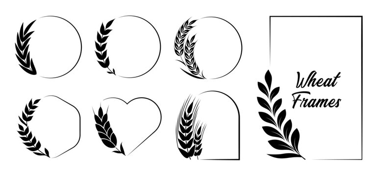 Minimal Black Wheat Frames. Botanical Borders and Decorative Wreath