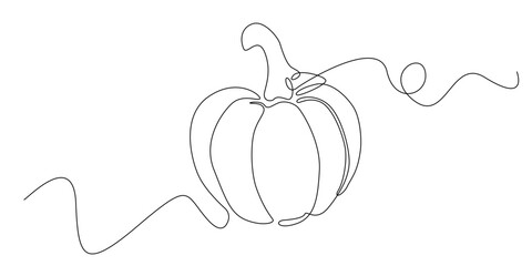 Continuous line drawing of a whole pumpkin with a curved stem. Minimalist single-line illustration suitable for organic food themes, autumn harvest designs, farm produce, and culinary visuals.