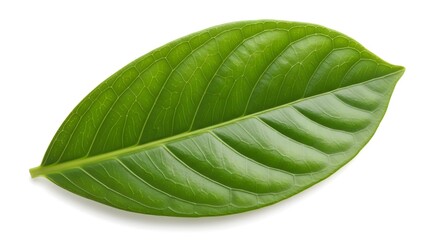 Obraz premium Glass jar filled with freshly picked wildflowers on white cloth