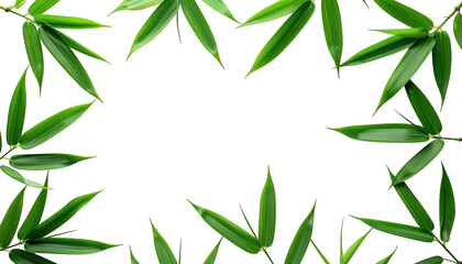 Green leaves frame a black background, with space in the middle