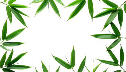 Green leaves frame a black background, with space in the middle