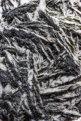 Goethite on gypsum mineral sample, black acicular goethite crystals embedded in white gypsum matrix photographed in detail showing fibrous layered texture