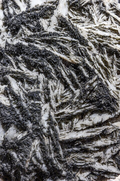 Goethite on gypsum mineral sample, black acicular goethite crystals embedded in white gypsum matrix photographed in detail showing fibrous layered texture