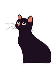 friendly black cat close up portrait photography