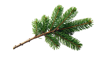 A detached sprig of evergreen needles, brown stem, vibrant green foliage, black background