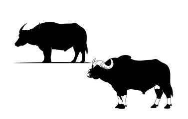 Abstract geometric shapes with vibrant color palette