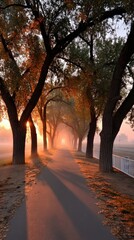 Autumn Avenue Minimalist Background with Silhouetted Tree Branches