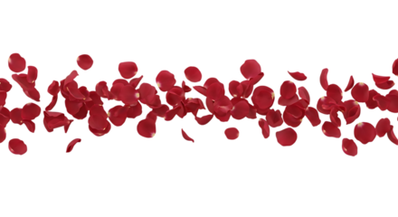 Scattered Red Rose Petals Floating on a Black Background falling isolated on a transparent background