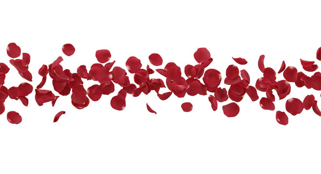 Scattered Red Rose Petals Floating on a Black Background falling isolated on a transparent background