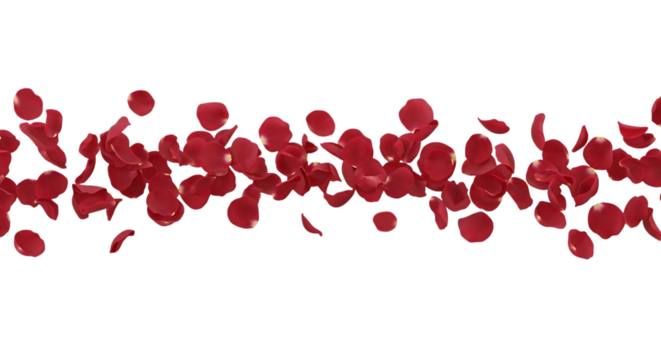 Scattered Red Rose Petals Floating on a Black Background falling isolated on a transparent background