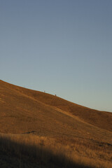 Nature and landscape view