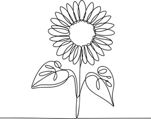 Continuous line art illustration of sunflower blossom with radiating petals using handmade contour
