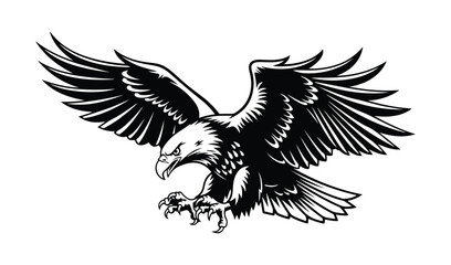 Obraz premium Powerful bald eagle in flight with wings spread wide