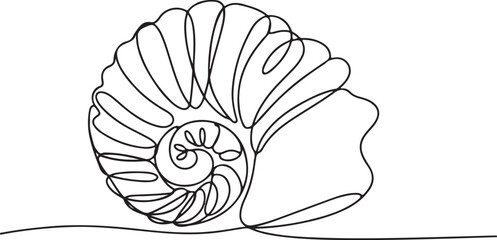 Continuous line art illustration of elegant spiral seashell using handmade sketch contour