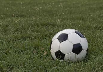 classic black and white soccer ball resting on lush green grass field for sports and recreation concepts.