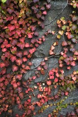 autumn leaves on a stone