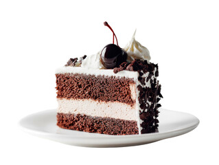 Chocolate cake slice with cherry, frosting on plate