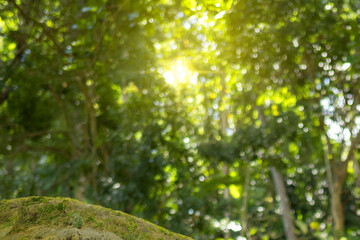 View of green meadow with blurred trees and natural landscape background. Natural background