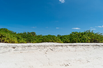 Tropical Beach Paradise in Mathiveri, Maldives