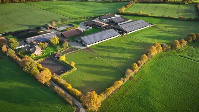 Aerial pull-back shot of  modern livestock farm with photovoltaic panels on barn roofs, biogas plant, surrounding agricultural fields, grazing horses and birds flying across the scene.