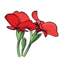 Red garden flower bouquet botanical illustration