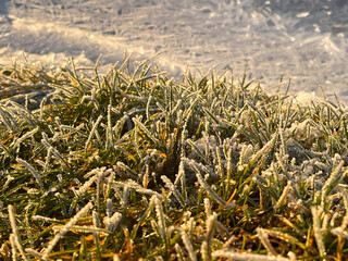 Frosted grass by a frozen river