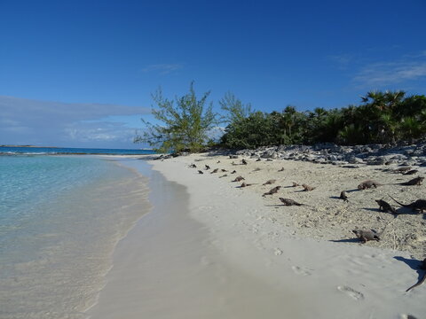 Iguana Island, Exuma Cays, Bahamas