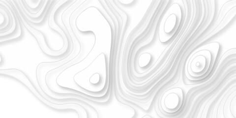 Abstract white paper cut background with lines. Background of the topographic map. White wave paper curved reliefs abstract background. Realistic papercut decoration textured with wavy layers.	