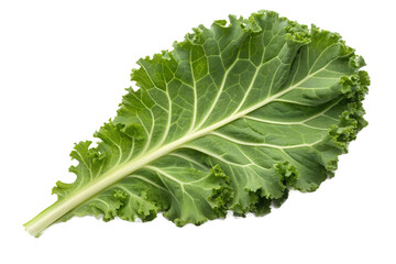 Kale Leaf Isolated on Transparent Background