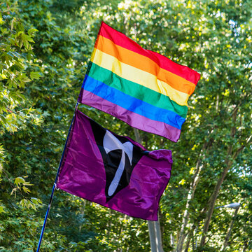 Labrys Lesbian Pride Flag and LGTBY Pride Flag