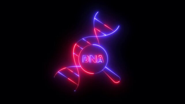 glowing neon DNA Analysis icon animation on black background. DNA analysis Icon. Magnifying glass and DNA. Genetic engineering, genetics testing, cloning, paternity testing.