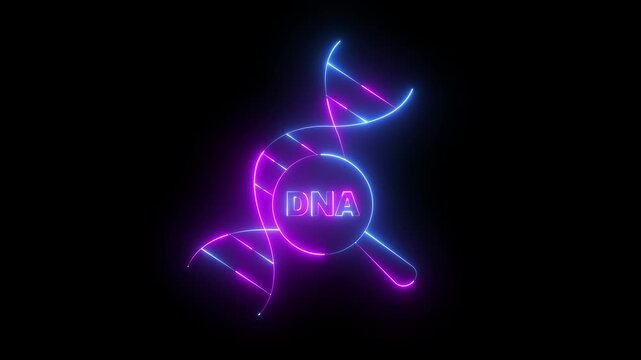 glowing neon DNA Analysis icon animation on black background. DNA analysis Icon. Magnifying glass and DNA. Genetic engineering, genetics testing, cloning, paternity testing.