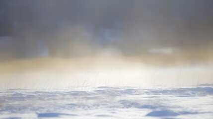 Backlit Snow Dust in Field