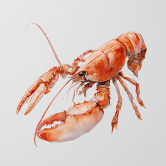 Vibrant Watercolor Illustration of a Cooked Lobster