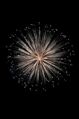 Obraz premium fireworks in the night sky