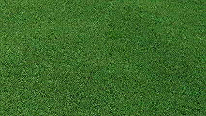 Green grass texture background. A perfectly manicured Sports field / Pitch / Garden Lawn wallpaper.  