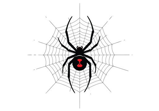 Black widow spider with red hourglass symbol on web
