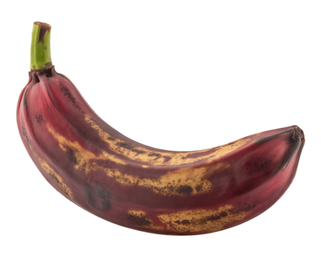 A single red banana with a dark stem isolated on a black background view  
