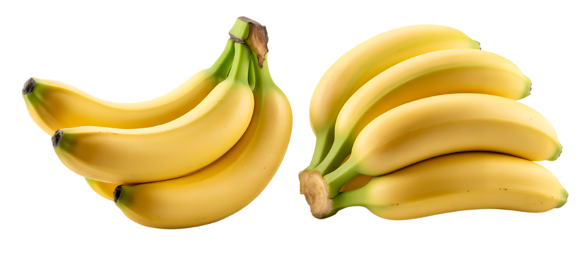 Bananas isolated. A bunch of ripe bananas on a transparent background. Fresh fruits.